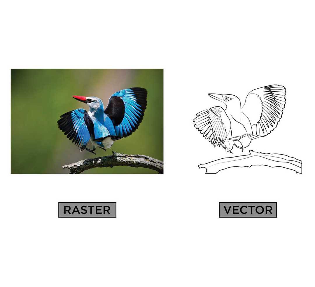 Vectorization